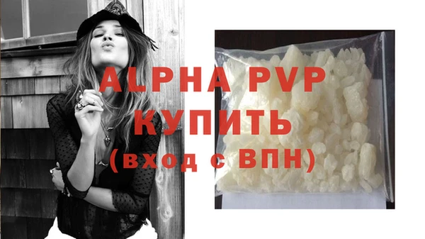 стаф Нефтегорск