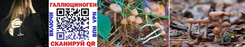 Галлюциногенные грибы MAGIC MUSHROOMS дарнет шоп Качканар