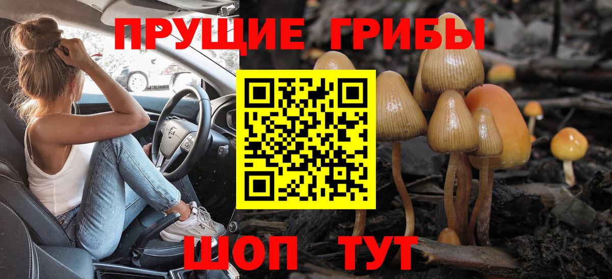 Галлюциногенные грибы прущие грибы  Вход с VPN  Качканар 